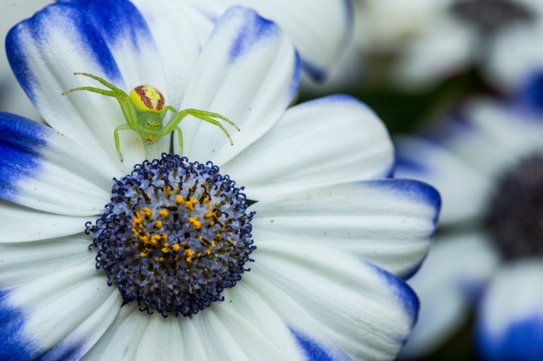 Patience Brings Lunch